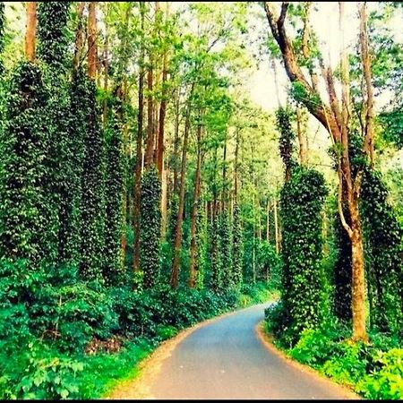Sp Resort Inn Yercaud Buitenkant foto