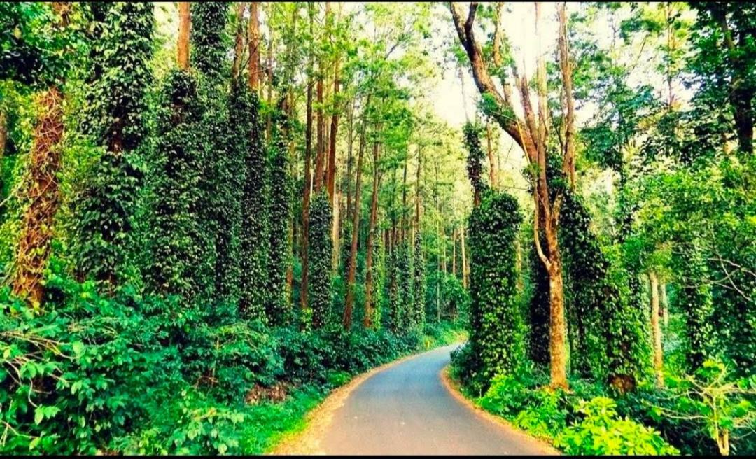 Sp Resort Inn Yercaud Buitenkant foto