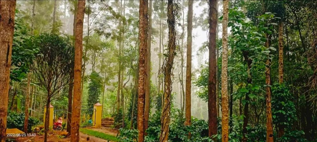 Sp Resort Inn Yercaud Buitenkant foto